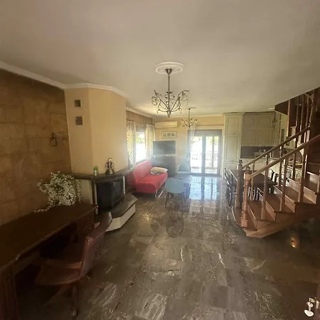 Canty نيا بوتيدايا