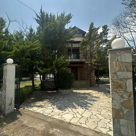 Canty 别墅 尼坡帝